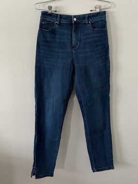 Ann Taylor Dark Blue Skinny Jeans